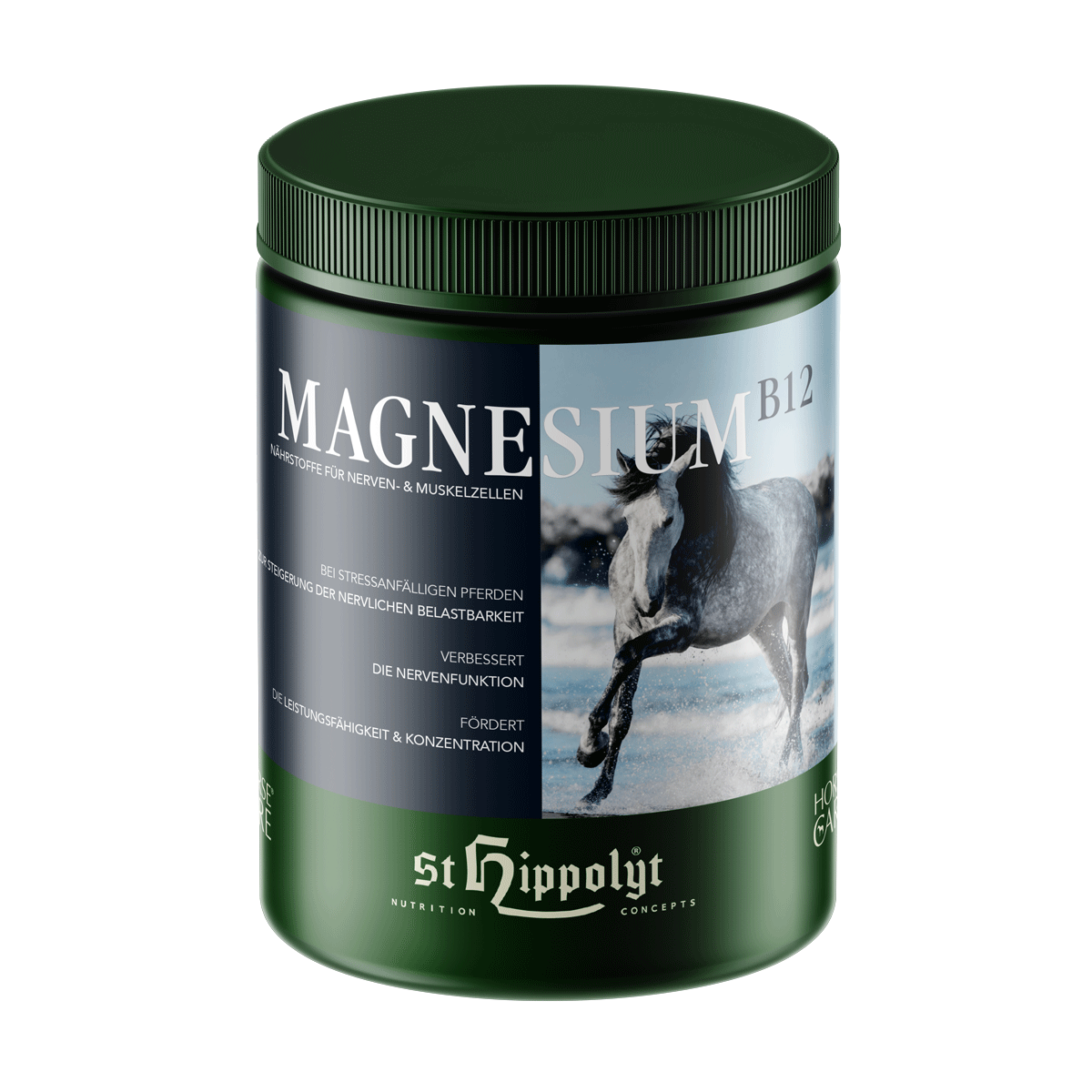 Magnesium B 12 1 kg