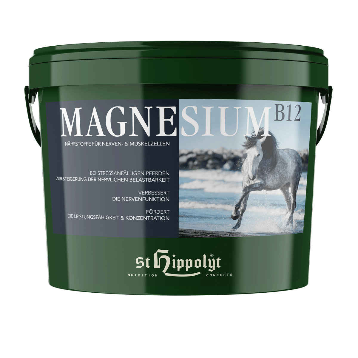 Magnesium B 12 2,5 kg