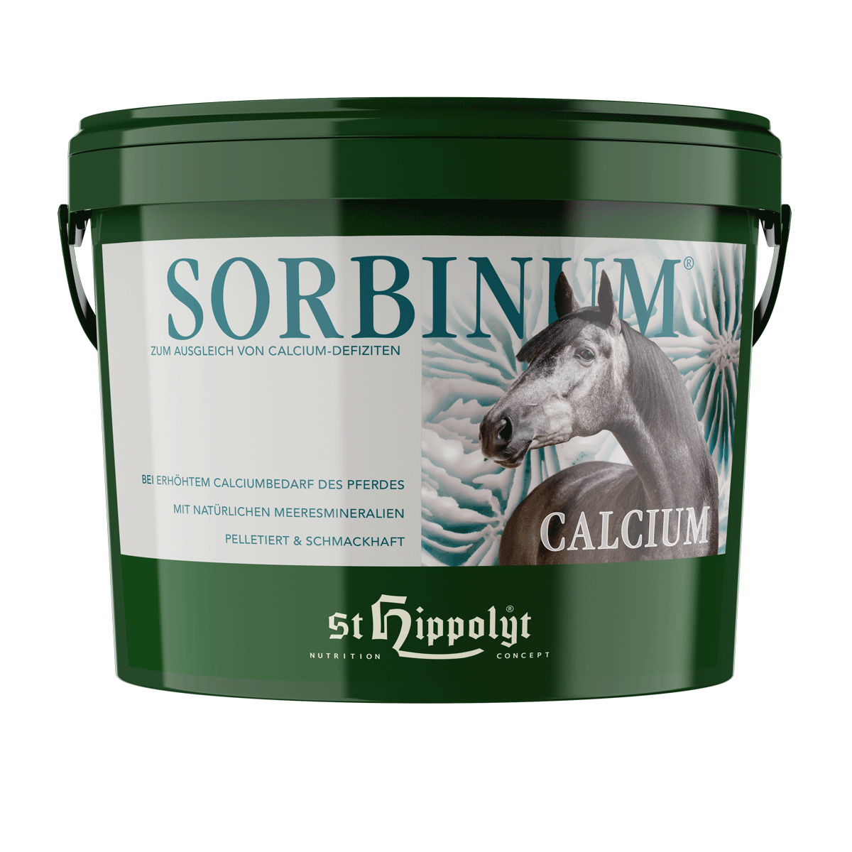 Sorbinum Calcium 25 kg - 0