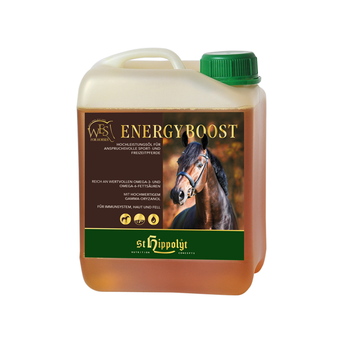 WES Energy Boost 5 l
