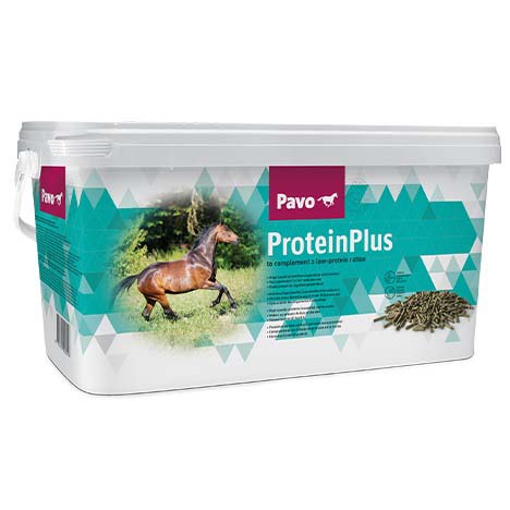 Pavo ProteinPlus 7 kg Eimer